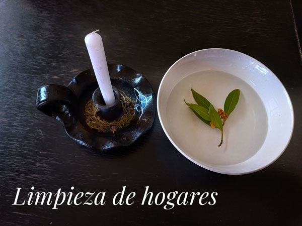 Limpieza simple de hogares